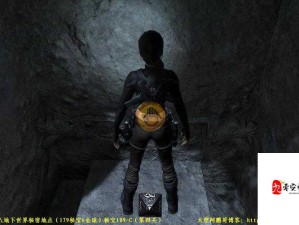 古墓丽影8：地下世界第四关秘密地点图鉴！全网最细隐藏宝箱路线大公开