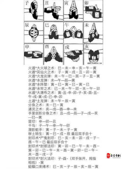 忍者印记零失误通关秘籍!手残党也能100%评分速通攻略